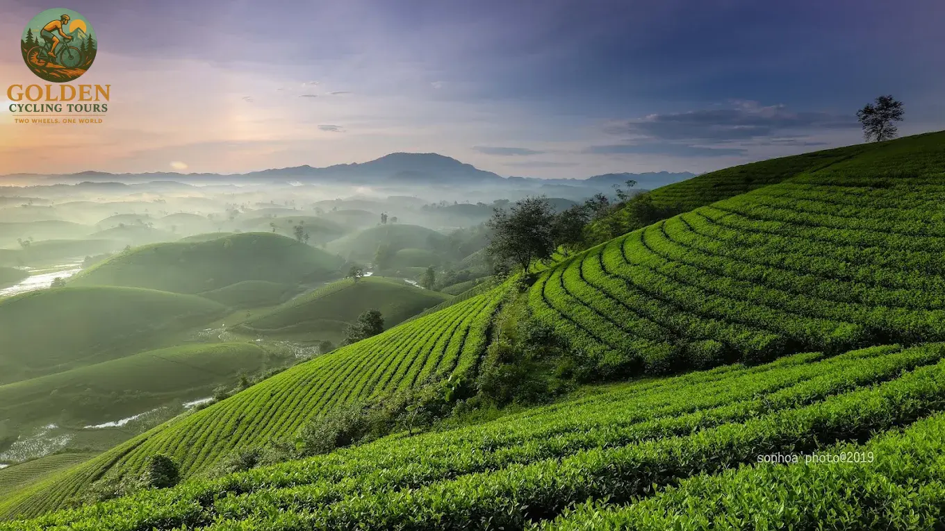 12-Day North Vietnam Cycling Adventure: Off the Beaten Path from Hanoi to Ninh Binh